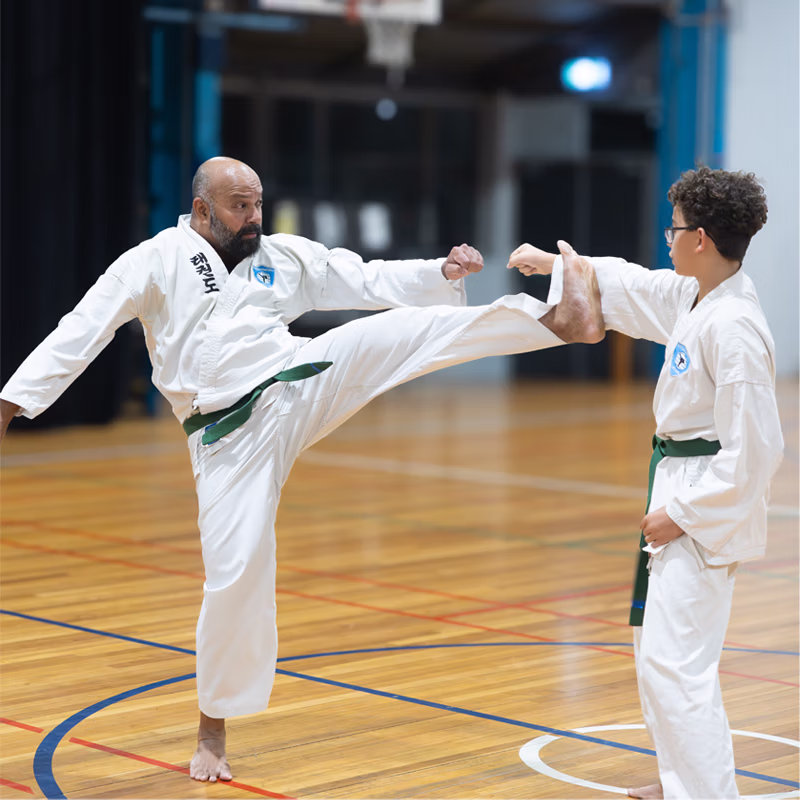 ALBANY CREEK adult man high kicks with teen