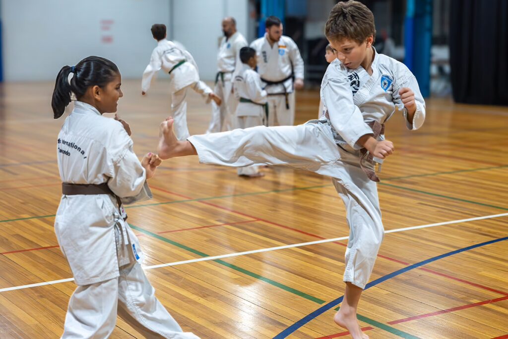 ALBANY CREEK young boy high kick